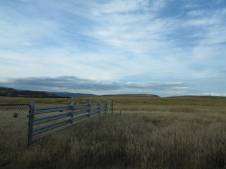 Farm fences in summer