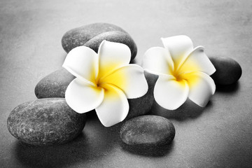 Fototapeta na wymiar Hot spa stones with flowers on grey background, close-up