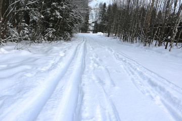 Fototapeta na wymiar Лыжня в заснеженном лесу