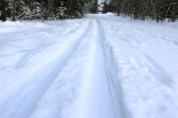 Лыжня в заснеженном лесу