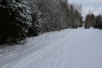 Лыжня в заснеженном лесу
