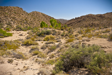 Fototapeta na wymiar dry desert landscape