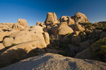Fototapeta na wymiar jumbo rocks in joshua tree national park of california, USA