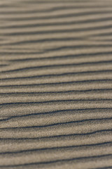 Fototapeta na wymiar textures in the sand