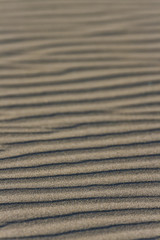 textures in the sand 