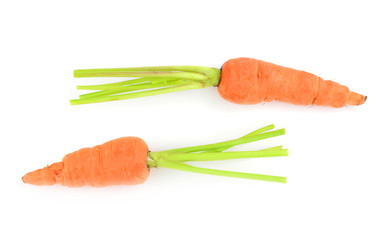 carrots isolated on white background