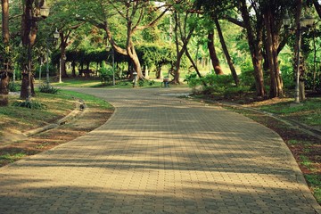 Pathway in park