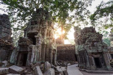Fototapeta premium Ta Prohm temple in Siem reap , Cambodia
