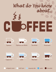 Coffee, graphic diagram / presentation on coffee and its types - obrazy, fototapety, plakaty