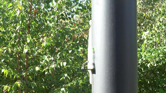 Outdoor shower boiler equipment heating on sunlight between trees in rural village yard. Tilt up shot. 4K
