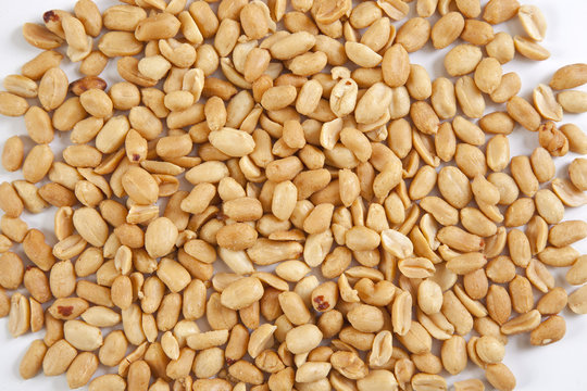 Bagigi Bilder Durchsuchen 146 Archivfotos, und Videos