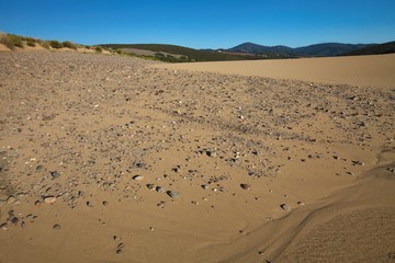 Fototapeta na wymiar wind creates interesting drawings in the sand, Sardinia