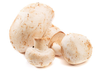 Mushrooms