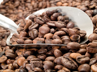 Coffee beans