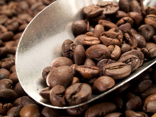 Coffee beans