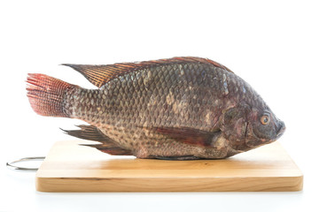 Black Tilapia or Tilapia