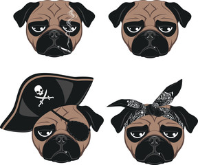 Set of funny pug
