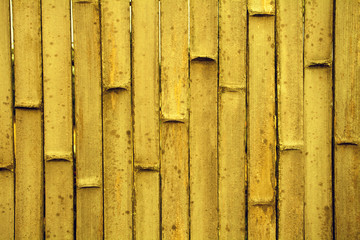 Abstract grunge golden bamboo background