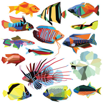 fish-set colorful fish low poly design isolated on white.