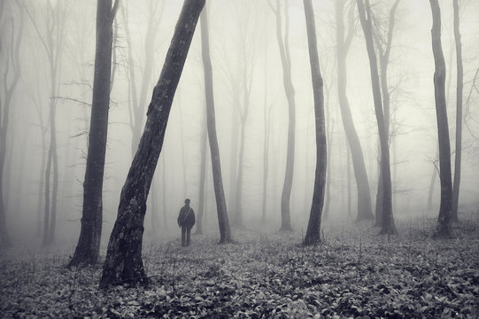 man in misty forest