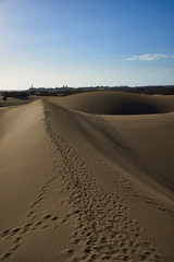Fototapeta na wymiar Sandy dunes in desert / Sandy and wavy dunes with stylish forms in a wide desert under blue sky