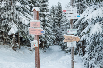 Fototapeta Zimowe warunki na szlaku turystycznym w górach obraz