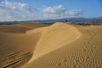 Sandy dunes in desert / Sandy and wavy dunes with stylish forms in a wide desert under blue sky