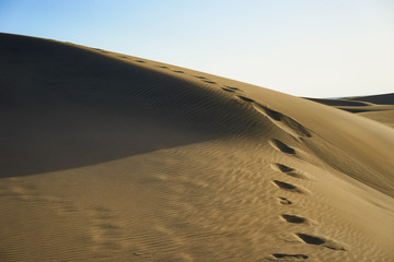 Footsteps on sandy dunes in desert / Sandy and wavy dunes with stylish forms in a wide desert under blue sky