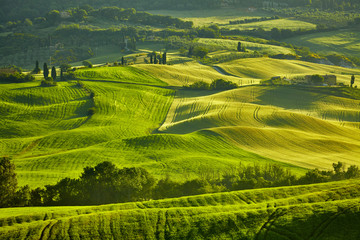 Tuscany hills