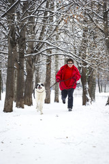 Fototapeta na wymiar Happy adult women jogging with big white dog in winter snowy woods, pedigree shepherd Alabai 