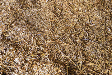 Bed made of straw