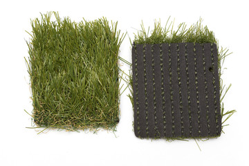 Patches of Artificial Grass
