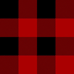 Lumberjack plaid pattern vector