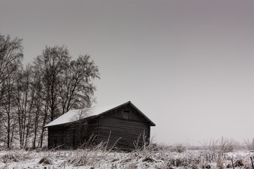 Fototapeta premium Winter On The Fields
