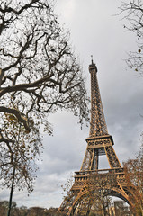 Fototapeta na wymiar Parigi, la Tour Eiffel in Autunno