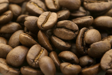 coffee beans, close up photo