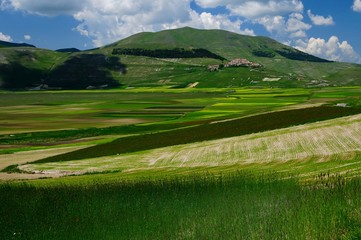 Pianura di Castelluccio di Norcia