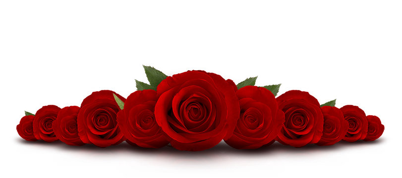 Red Roses" Images – Browse 18,527 Stock Photos, Vectors, and Video | Adobe  Stock