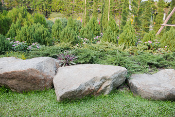 Stone and plant for a decorate in garden.