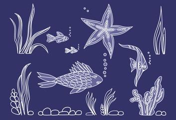  Fish,star, algae on seabed.Blue background.