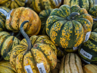 Pumpkins in market
