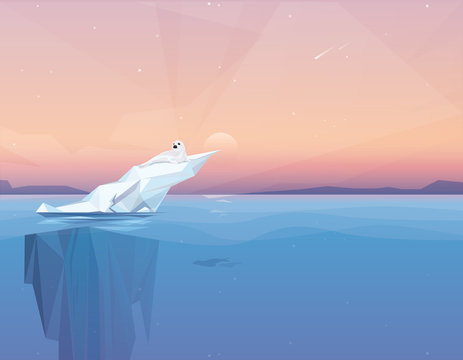 Harp seal on a melting iceberg in the arctic ocean under sunset.