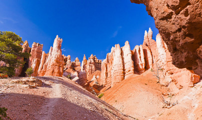 View in Bryce Canyon Landscape