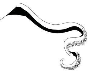 Tentacolo di calamaro gigante