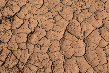 Dry Red Cracked Mud