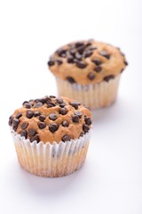 Two chocolate chip muffin on isolated white background