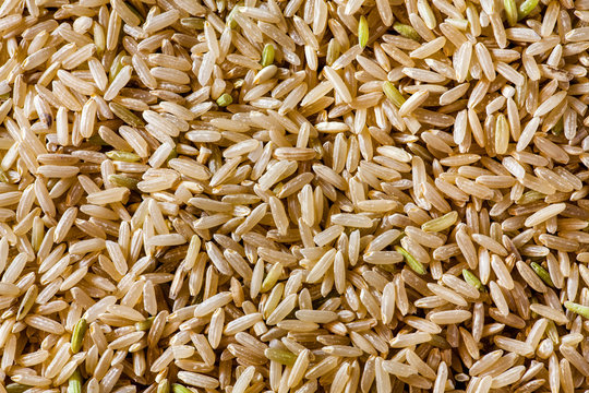 Natural rice texture