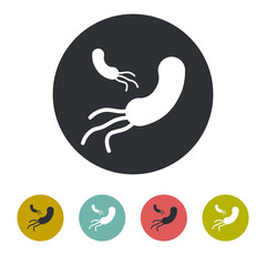 Bacterium icon