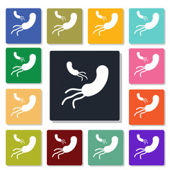 Bacterium icon