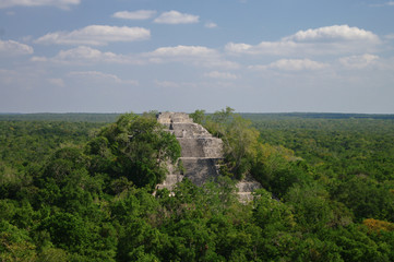 Fototapeta na wymiar The pyramid structure of 1 in the complex rises over the jungle